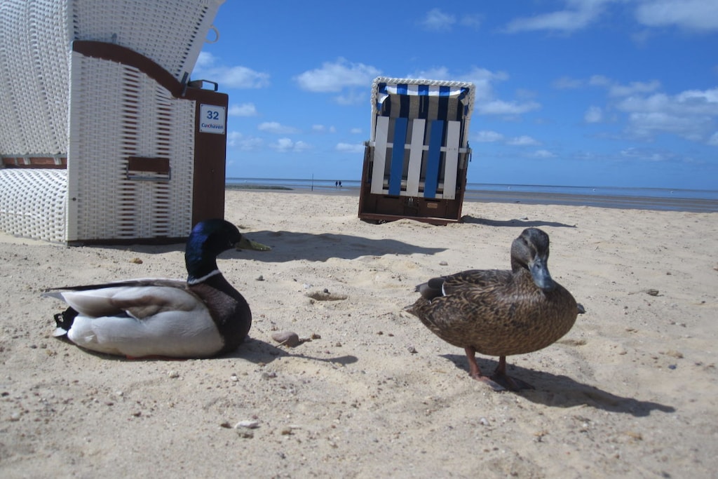241717 - Niet-getagd
