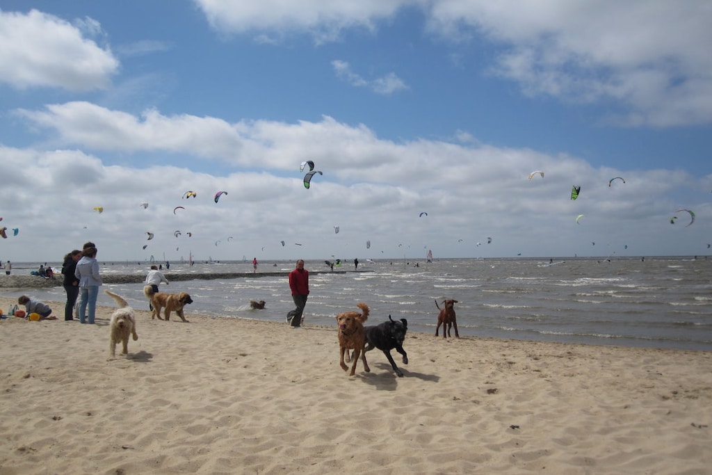 241717 - Niet-getagd