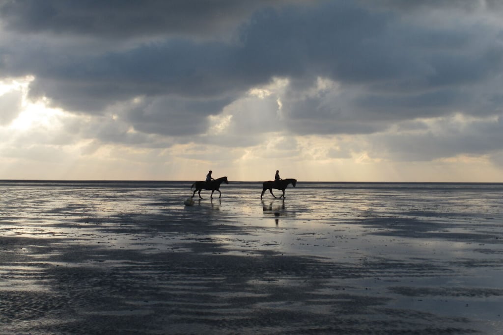 241717 - Niet-getagd