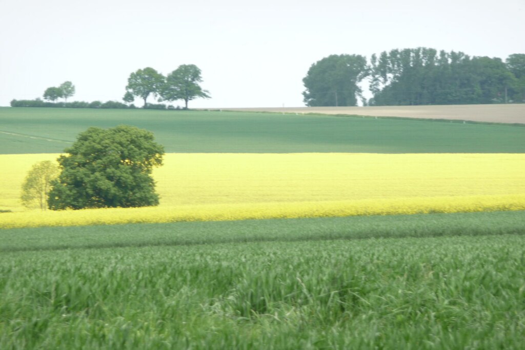 276148 - Niet-getagd