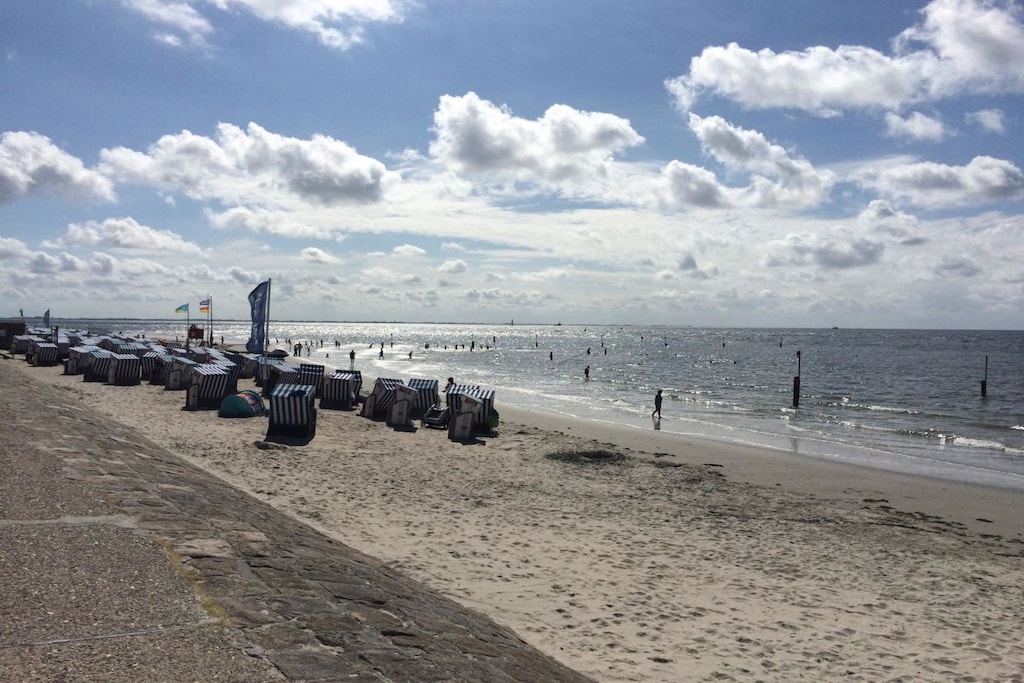 241172 - Niet-getagd