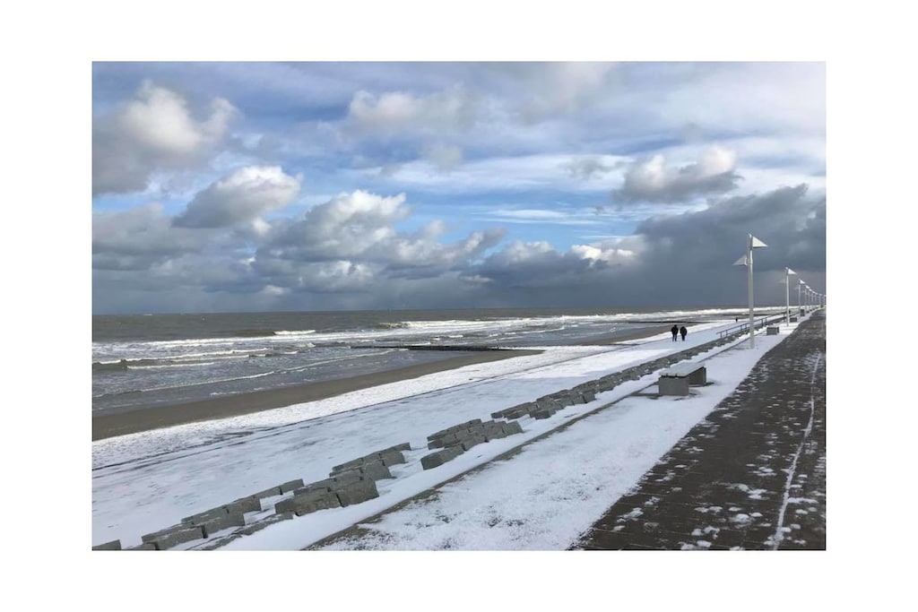 241172 - Niet-getagd