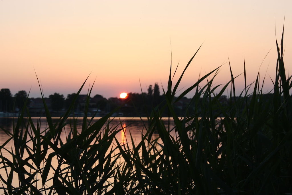 241002 - Niet-getagd