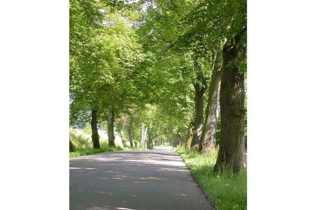 241002 - Niet-getagd