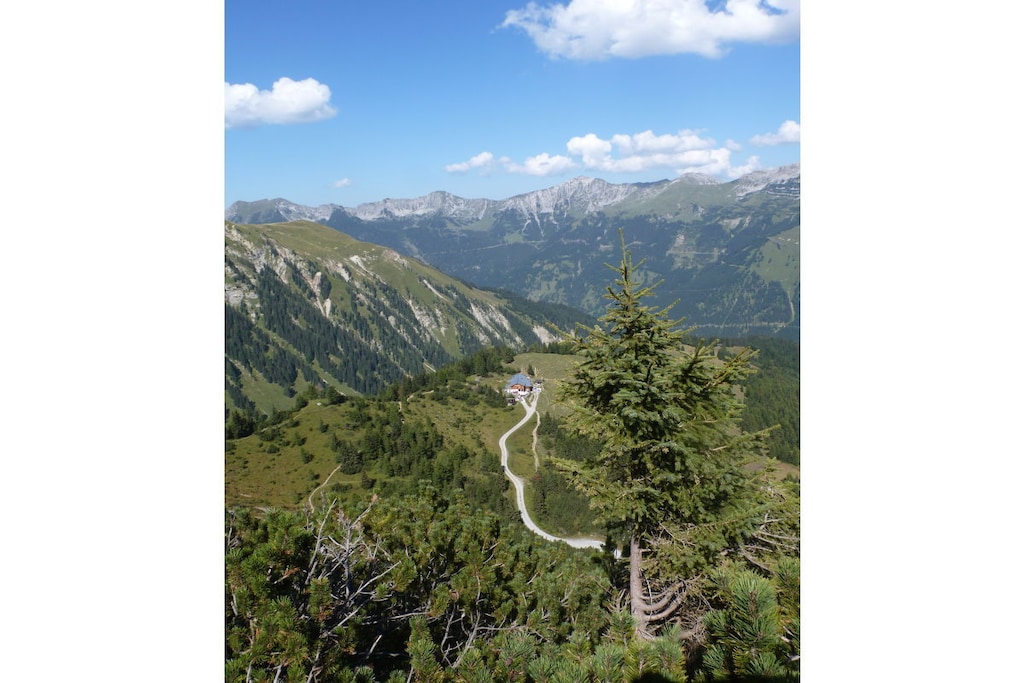 241207 - Niet-getagd