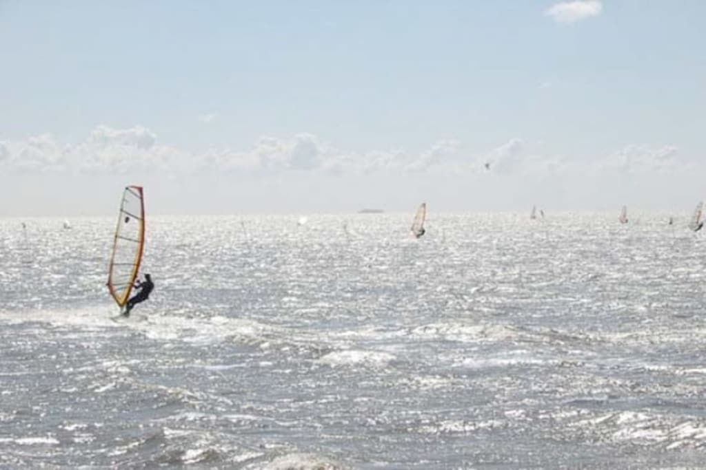 11302 - Niet-getagd