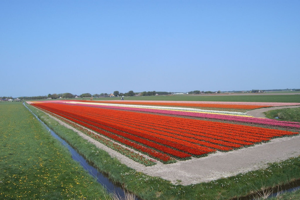 43020 - Niet-getagd