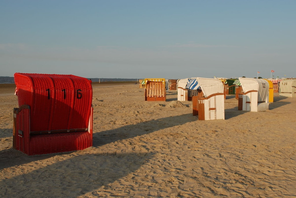49524 - Niet-getagd