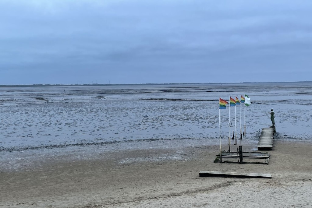 49524 - Niet-getagd