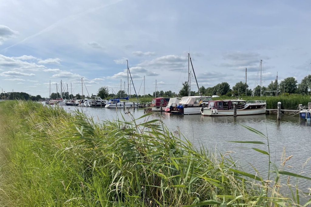 49524 - Niet-getagd