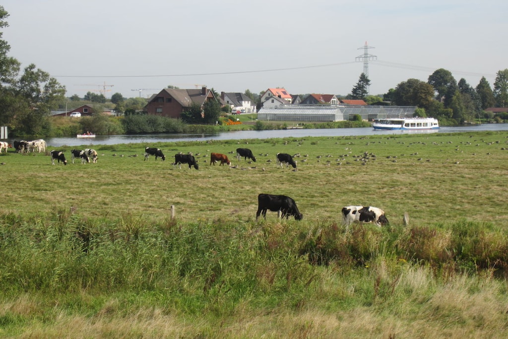 144154 - Niet-getagd