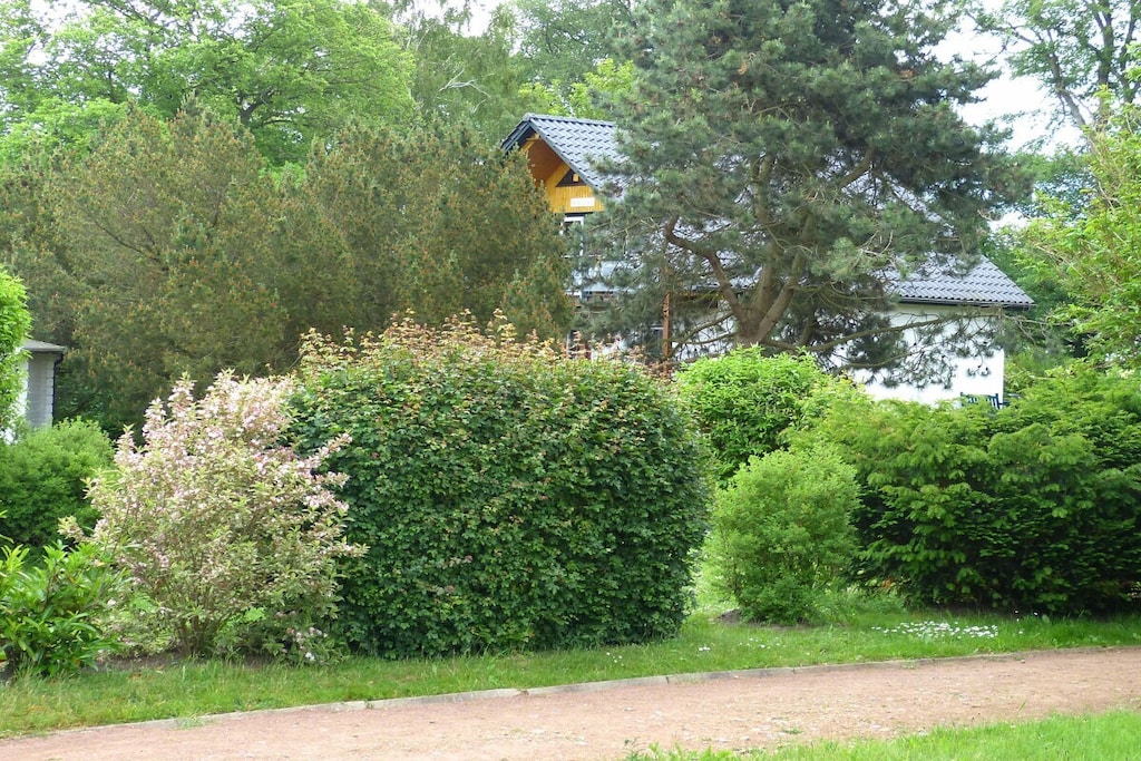 51888 - Niet-getagd