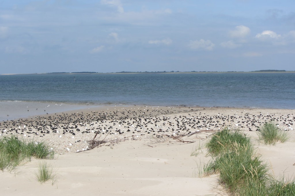 68800 - Niet-getagd