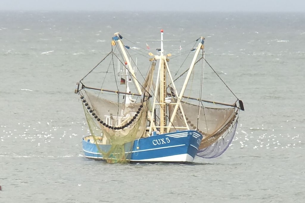 68439 - Non tagué