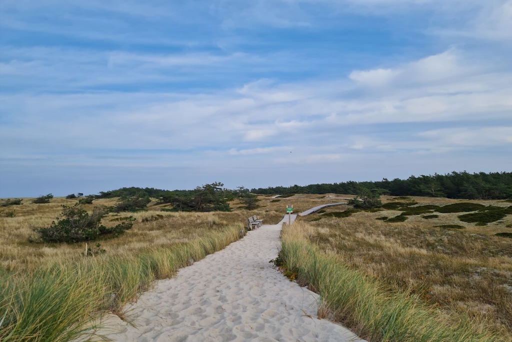 137954 - Niet-getagd