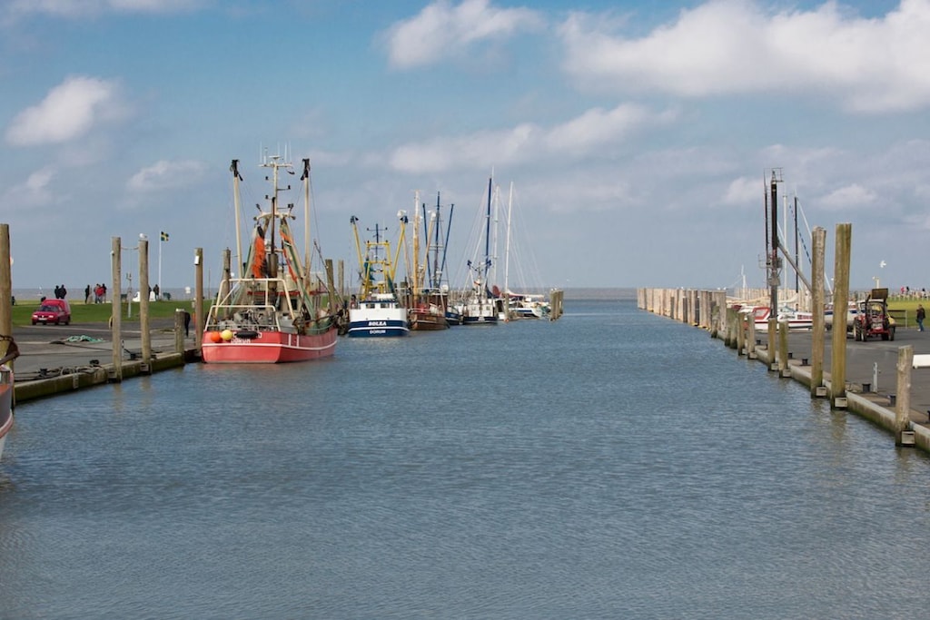 53607 - Niet-getagd