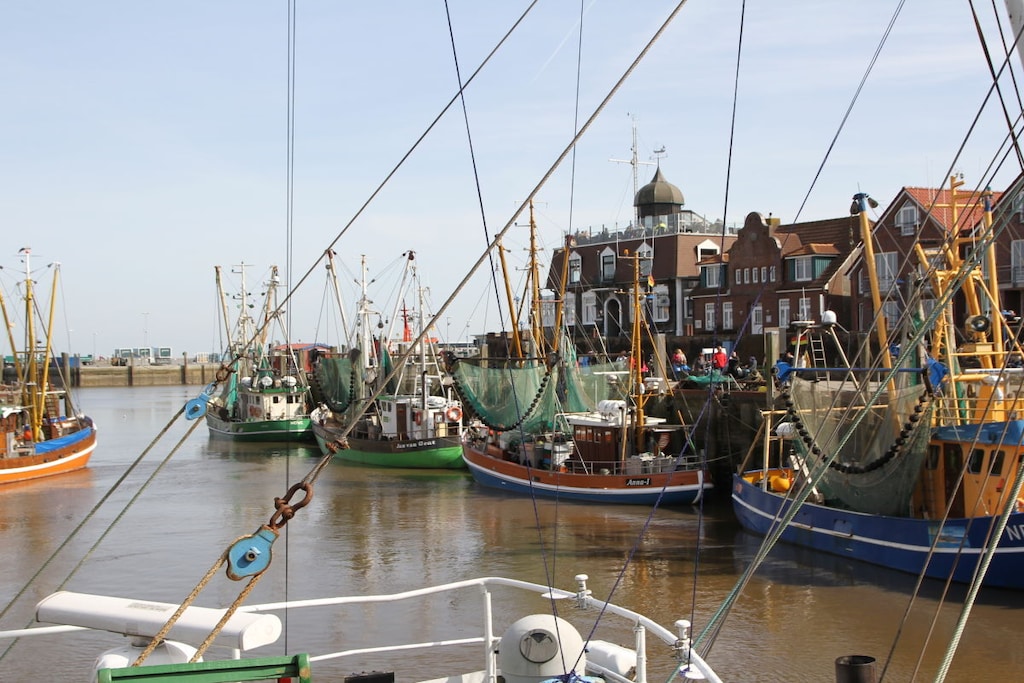 250350 - Niet-getagd