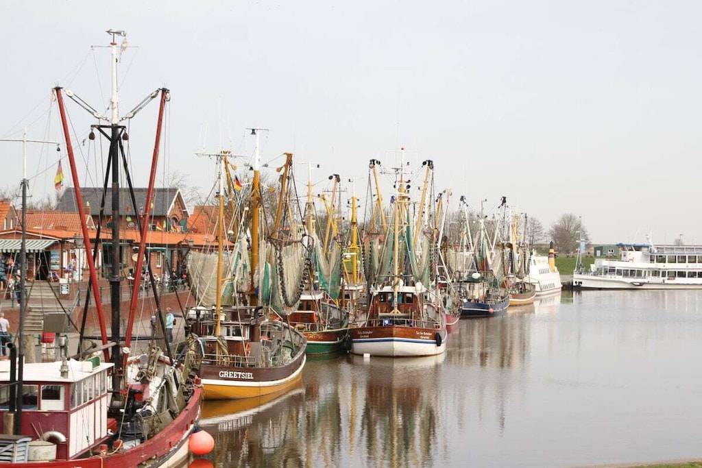 250350 - Niet-getagd