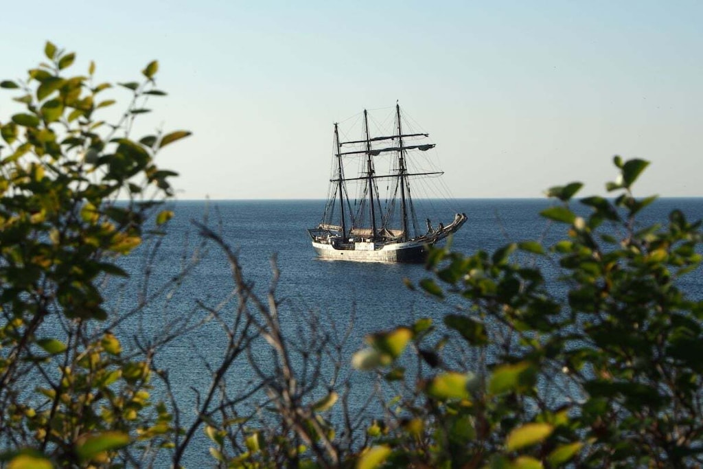 202451 - Niet-getagd