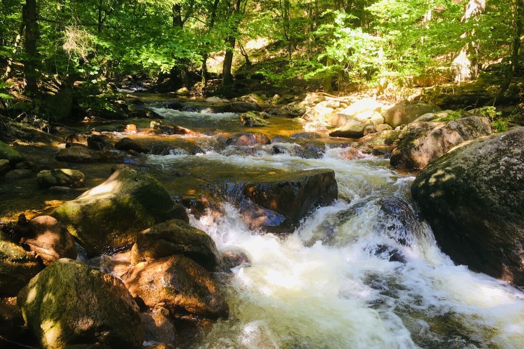423719 - Non tagué