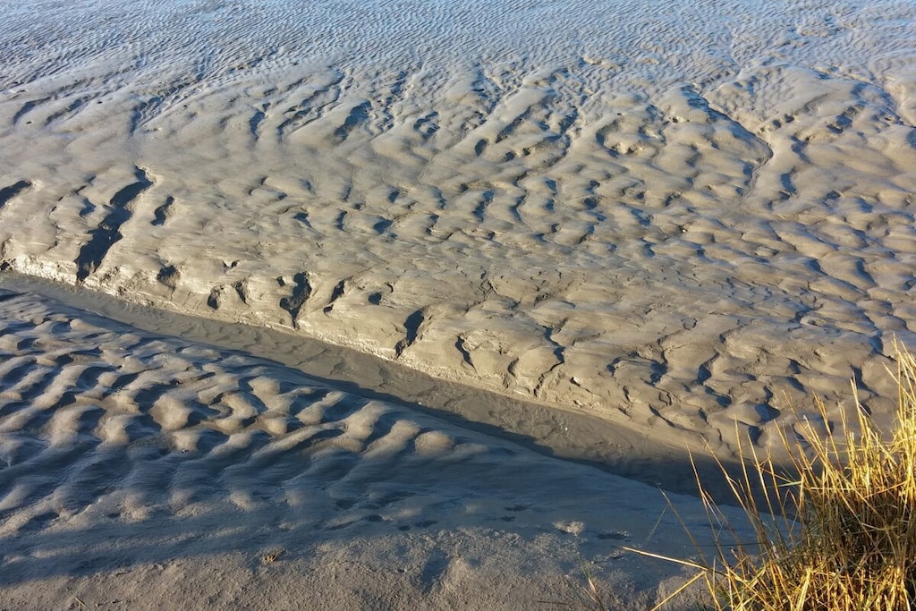20922 - Niet-getagd