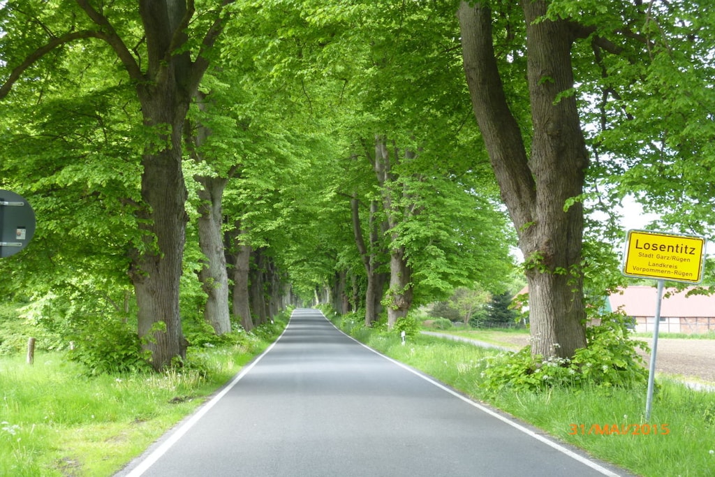 109183 - Niet-getagd