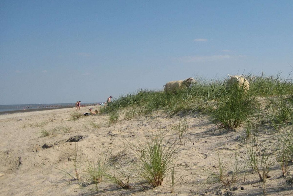 114324 - Niet-getagd