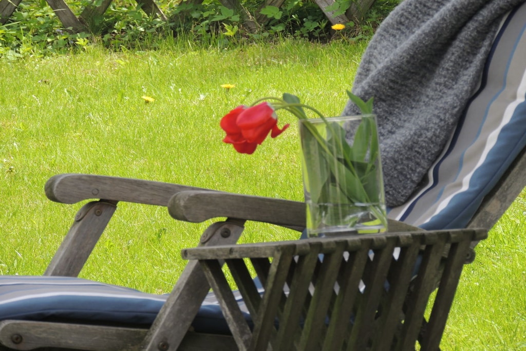 43746 - Niet-getagd
