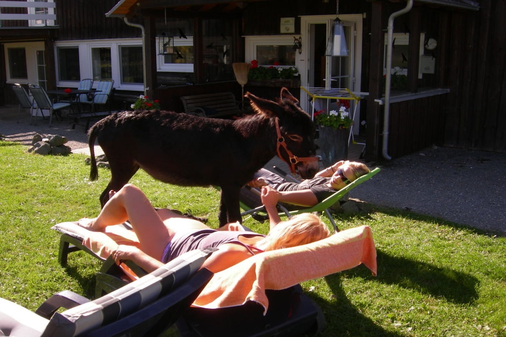 313 - Niet-getagd