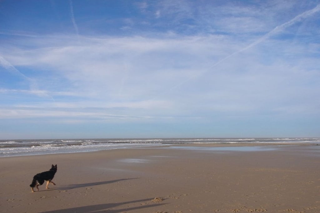 72399 - Niet-getagd