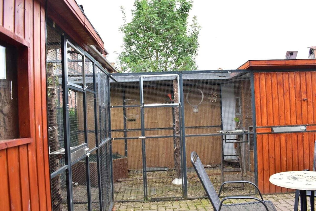 116610 - Niet-getagd