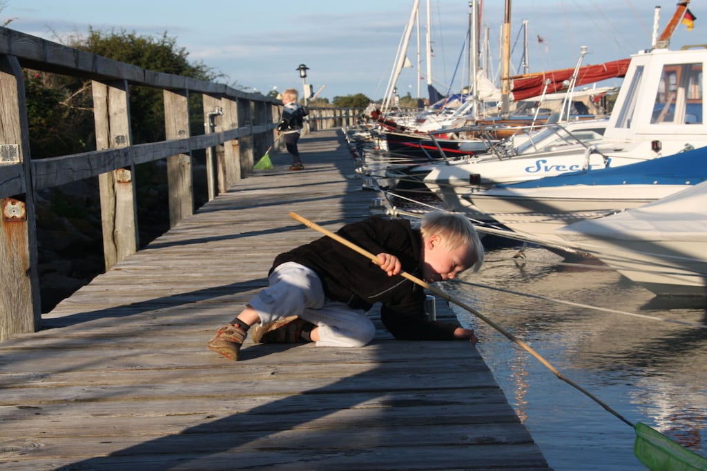 116579 - Niet-getagd