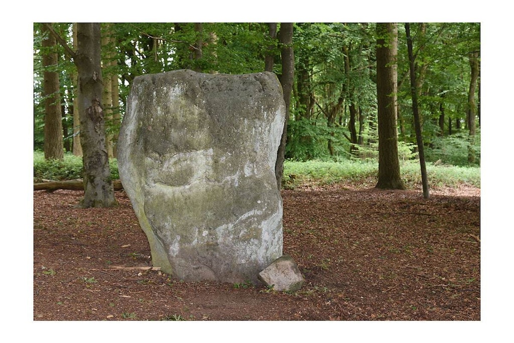 297160 - Niet-getagd