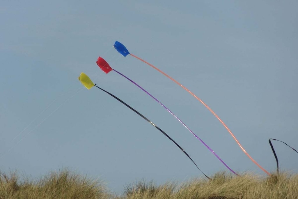 106555 - Niet-getagd