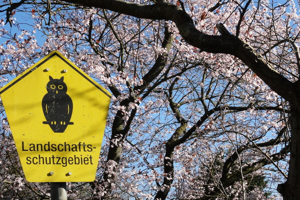 137931 - Niet-getagd