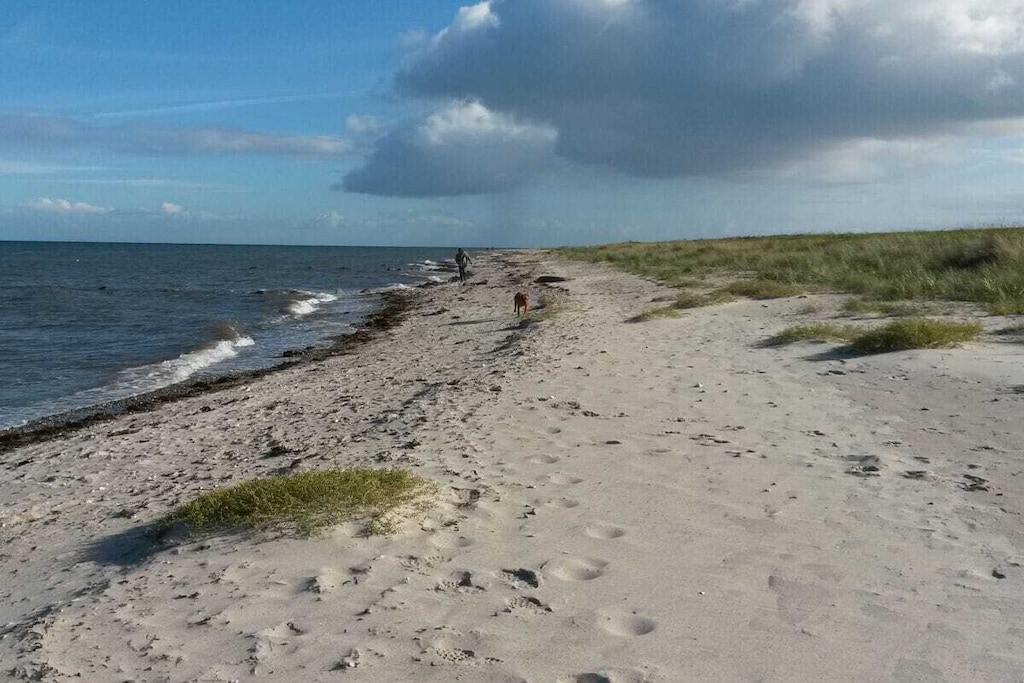 137931 - Niet-getagd