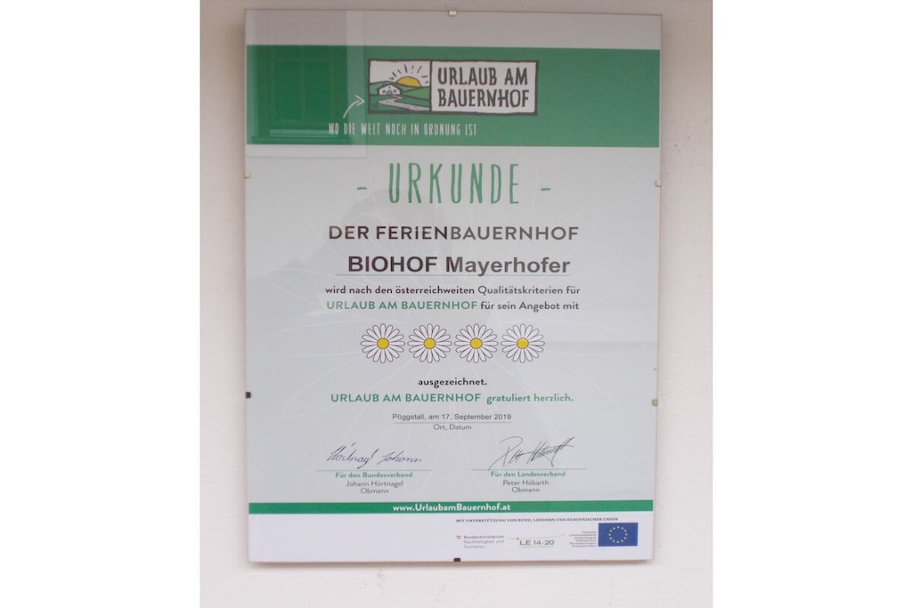 41168 - Nicht zugeordnet