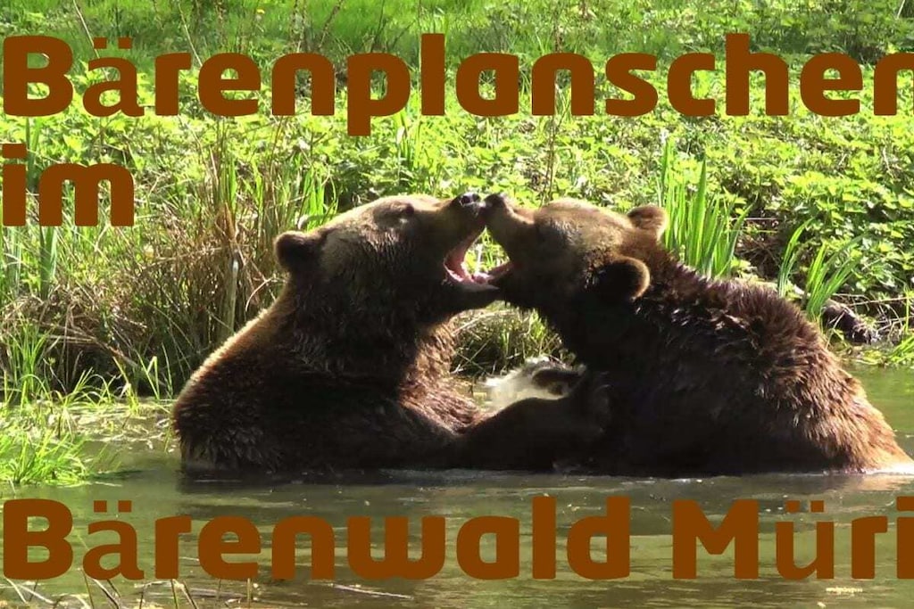 148730 - Niet-getagd