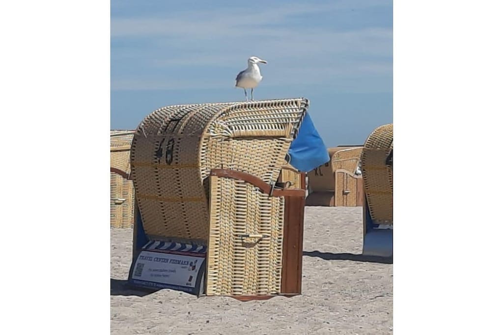 475480 - Niet-getagd