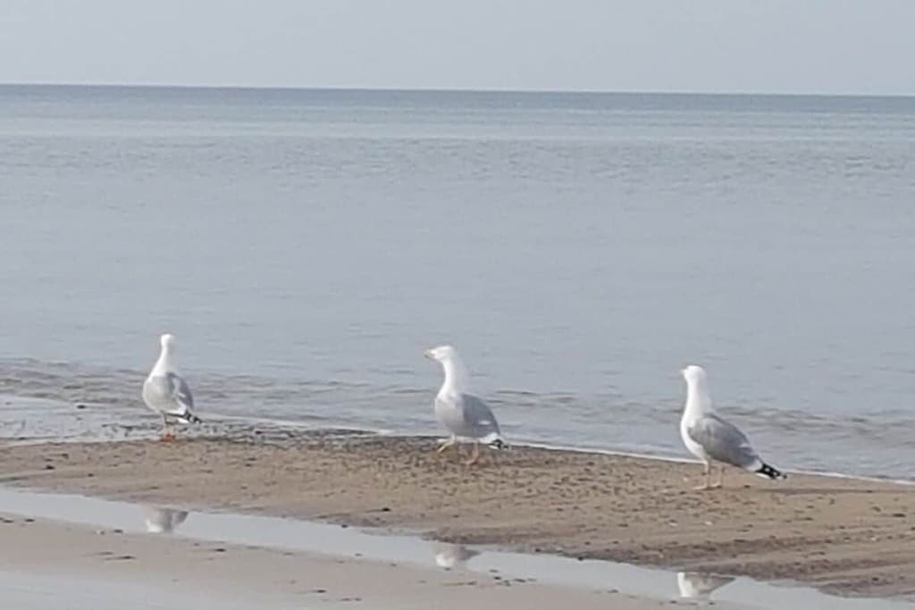 104045 - Niet-getagd