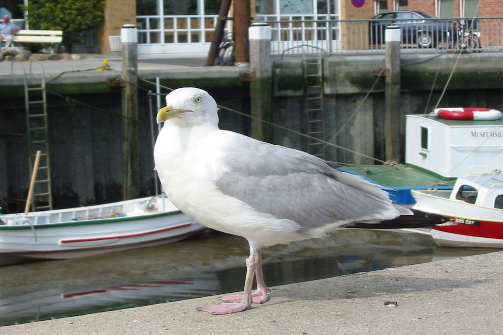 90676 - Niet-getagd