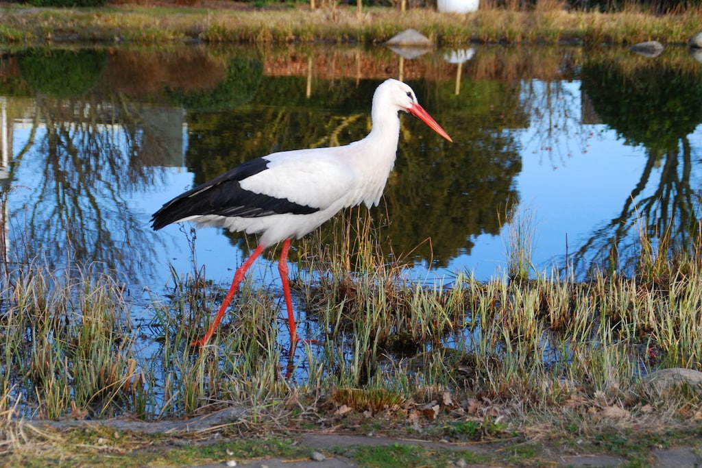 163347 - Niet-getagd