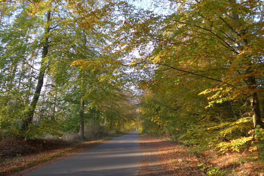 241749 - Niet-getagd
