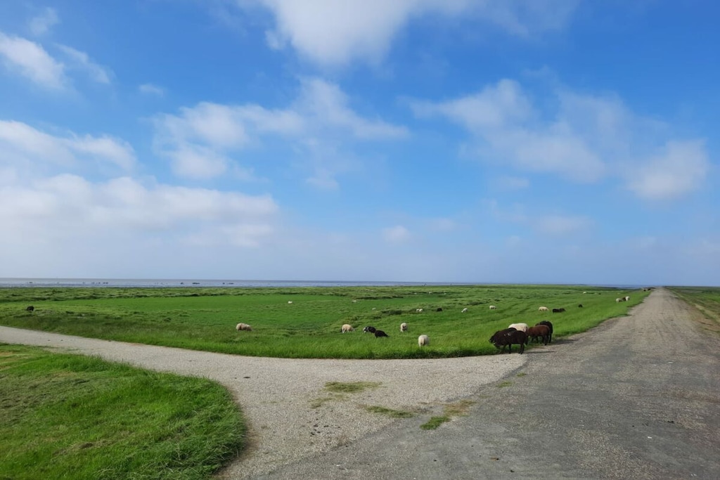 399094 - Niet-getagd