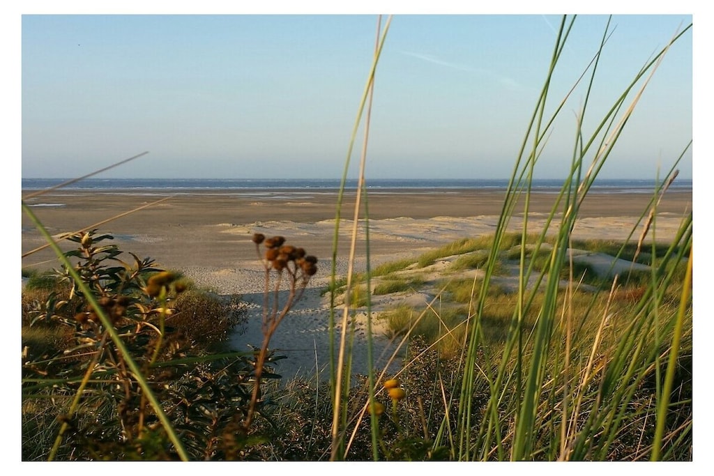 84137 - Niet-getagd