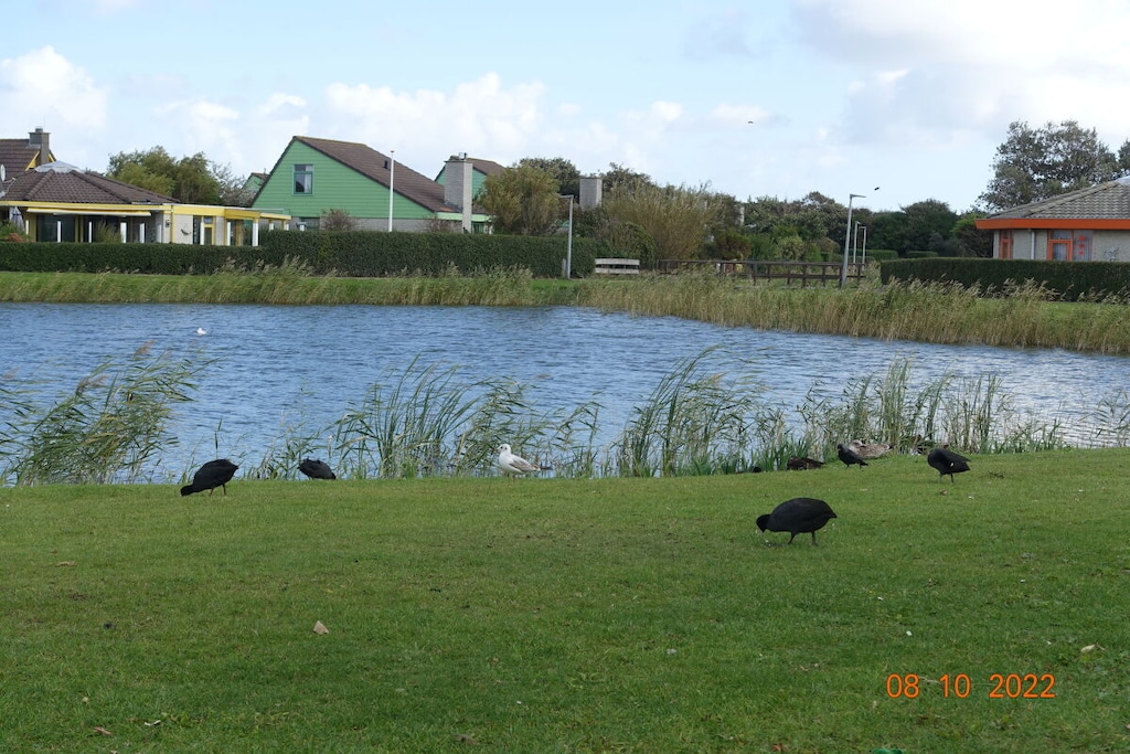 104168 - Niet-getagd