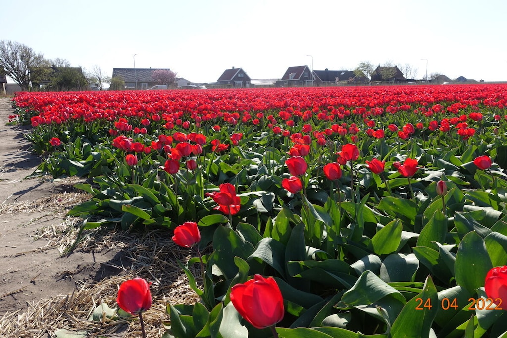 104168 - Niet-getagd
