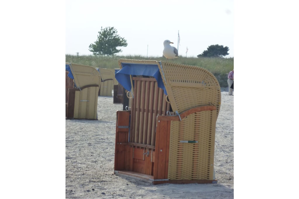 215895 - Niet-getagd