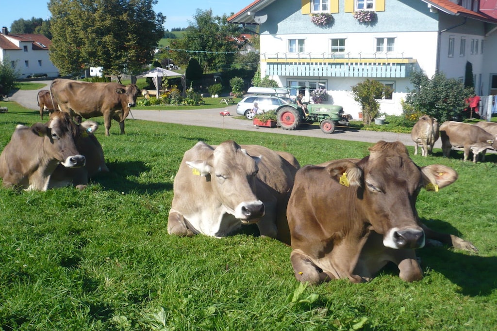 140067 - Niet-getagd