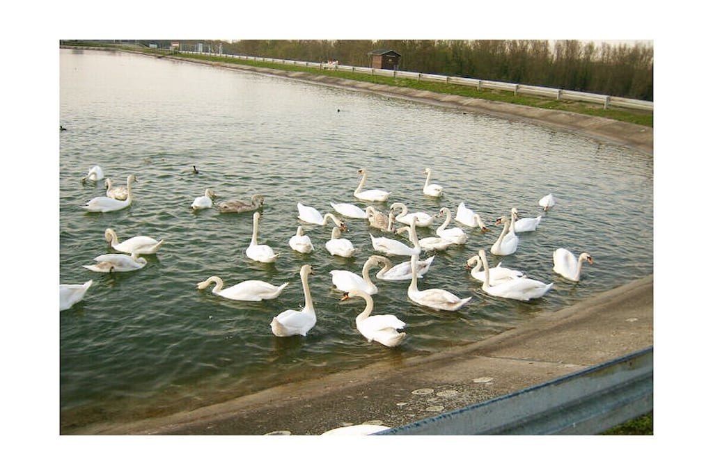 9277 - Niet-getagd